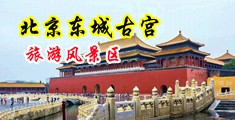 女生叉腿黄图中国北京-东城古宫旅游风景区